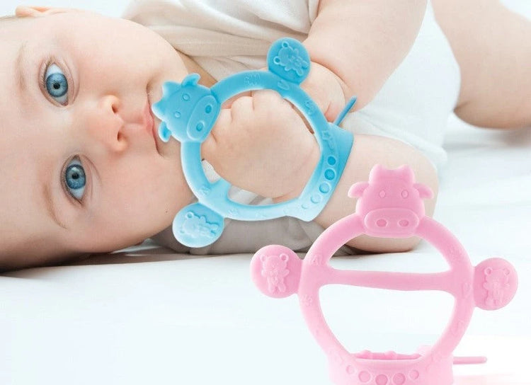 Teethers & Pacifiers