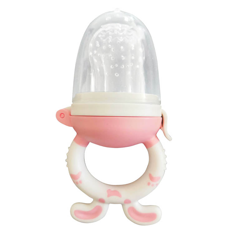 Fruit Pacifier