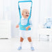 Baby Walking Assistant, Stand Up And Walking Learning Helper For Baby – Each - ReVogue