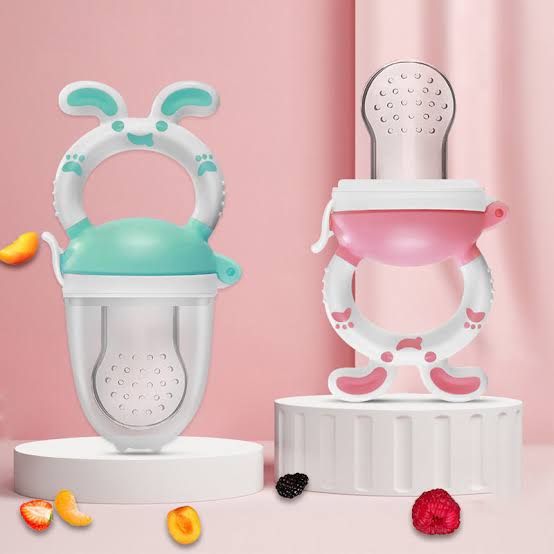 Fruit Pacifier