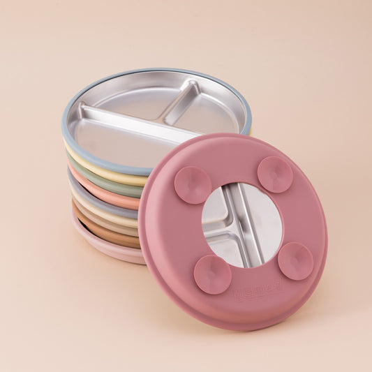 Stainless Steel Divided Plate with Detachable Silicone Suction Base