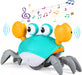 Crawling Crab Baby Toy - Toddler Toys