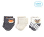 Socks (Pack of 3) - Socks